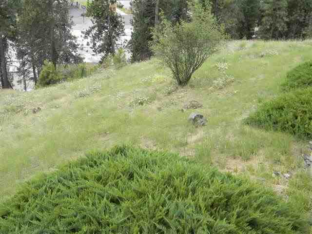 1823 W Northridge Ct - Photo 3