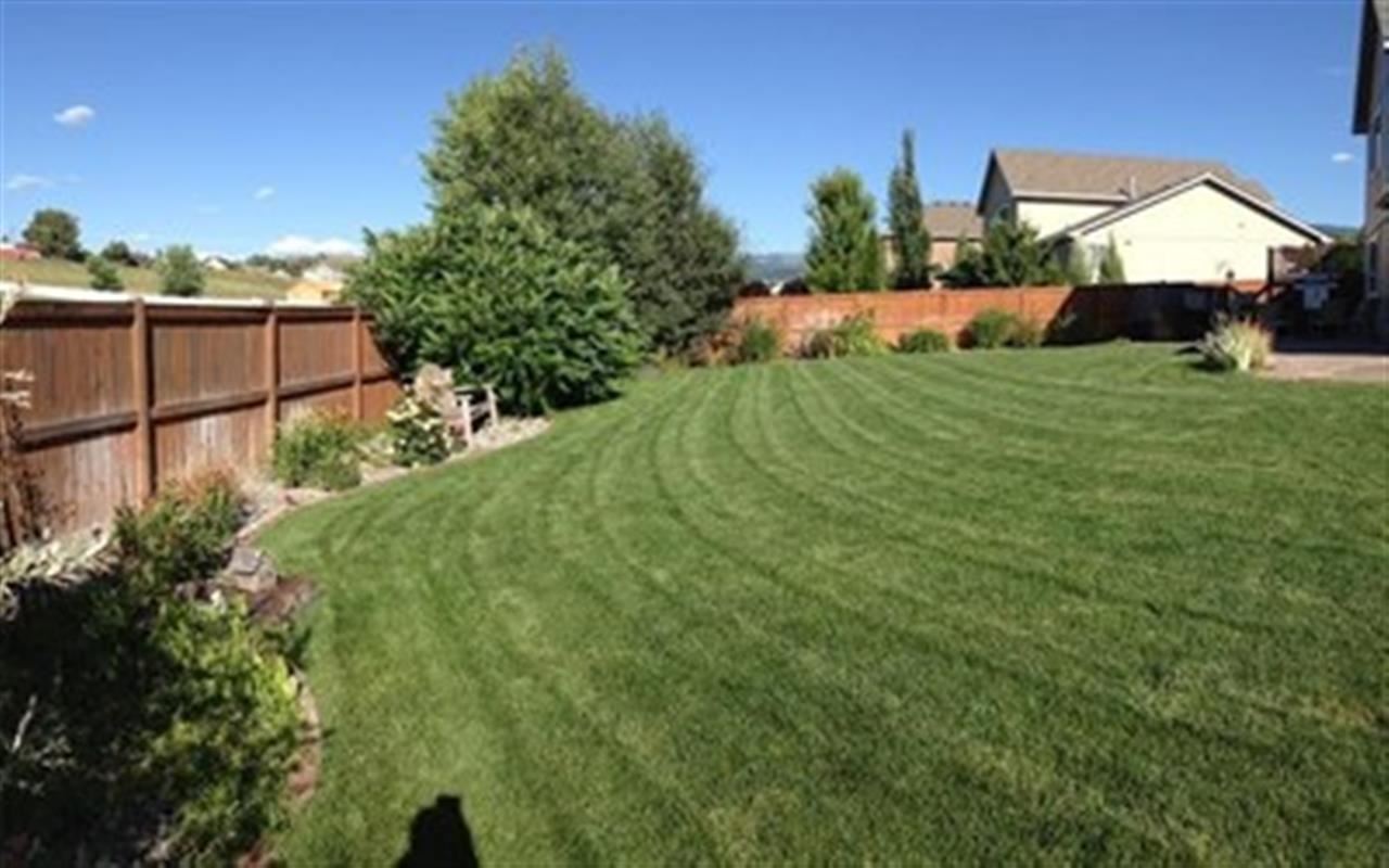 1029 S JESSICA Ln - Photo 5