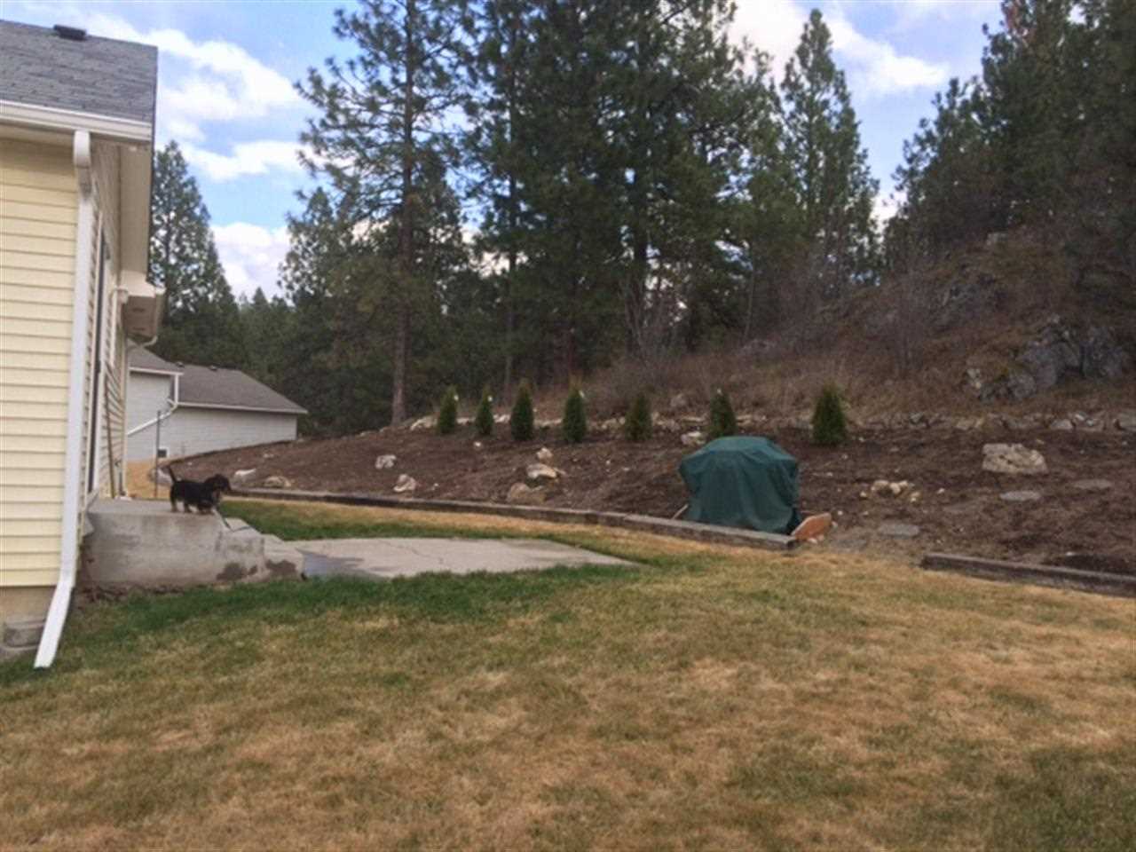 4820 E Gloria Ln - Photo 12