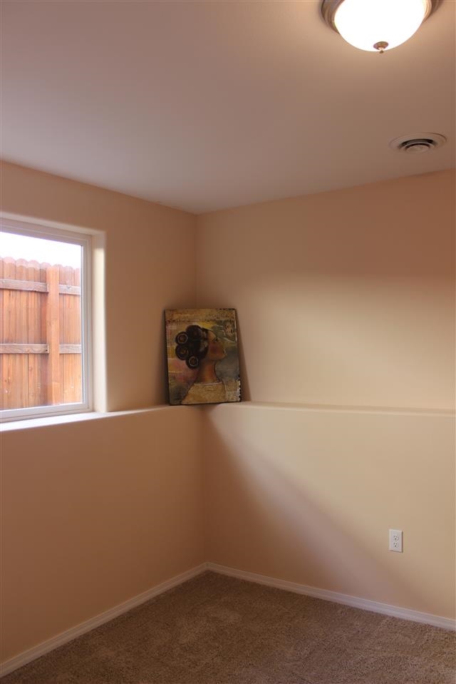 1327 S Van Marter Lane - Photo 15