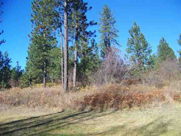 5415A Ellsworth Rd - Photo 13