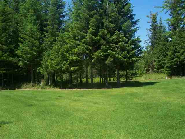7116 W Dahl Rd - Photo 4