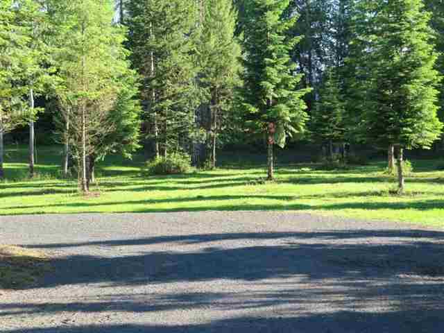 7116 W Dahl Rd - Photo 8
