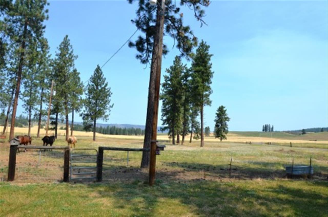 49974 E Fisher Rd - Photo 15