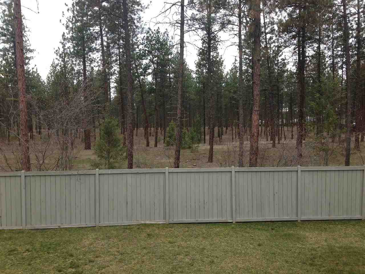 6927 N Douglass - Photo 7