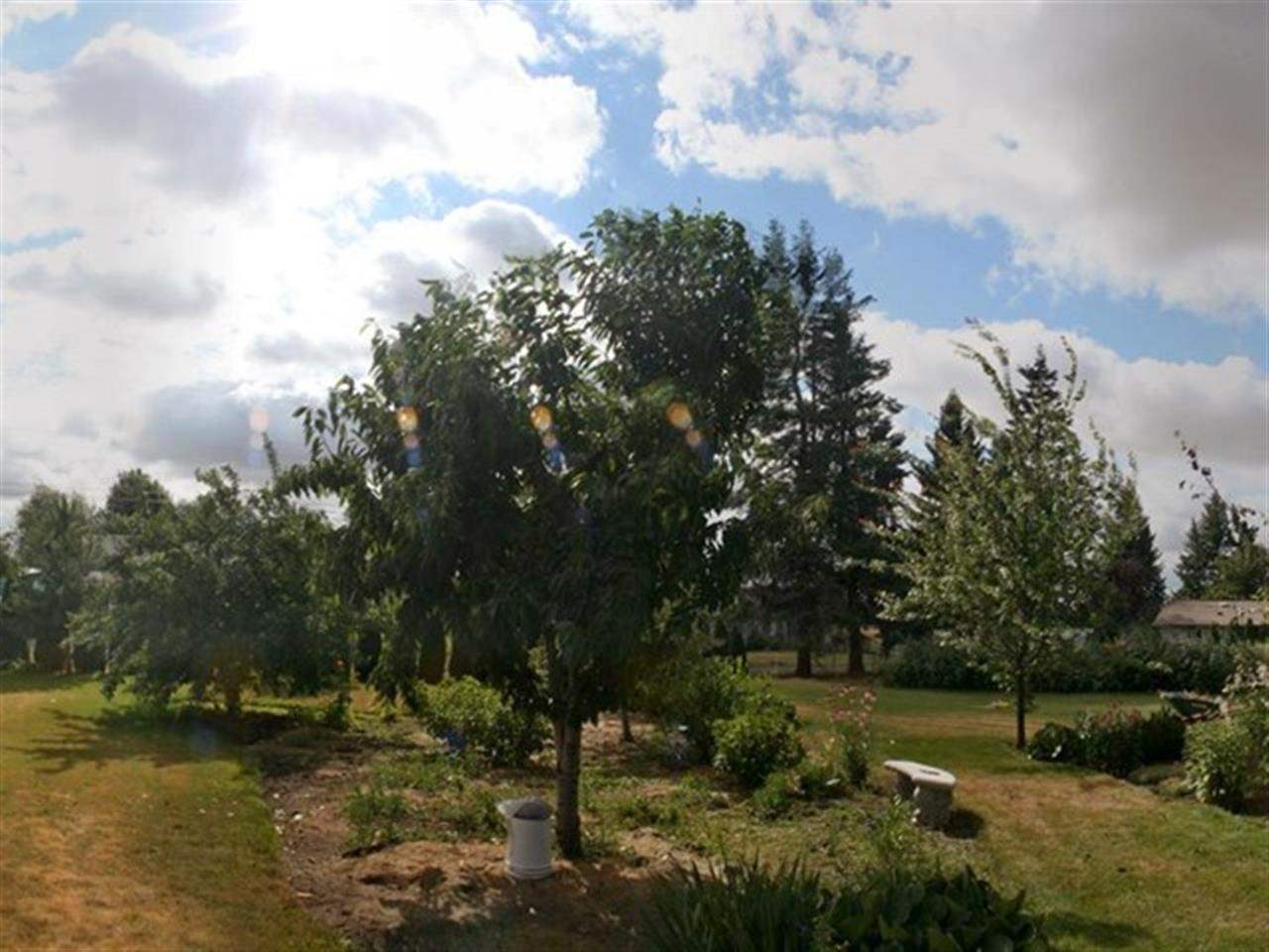 404 E E St - Photo 9