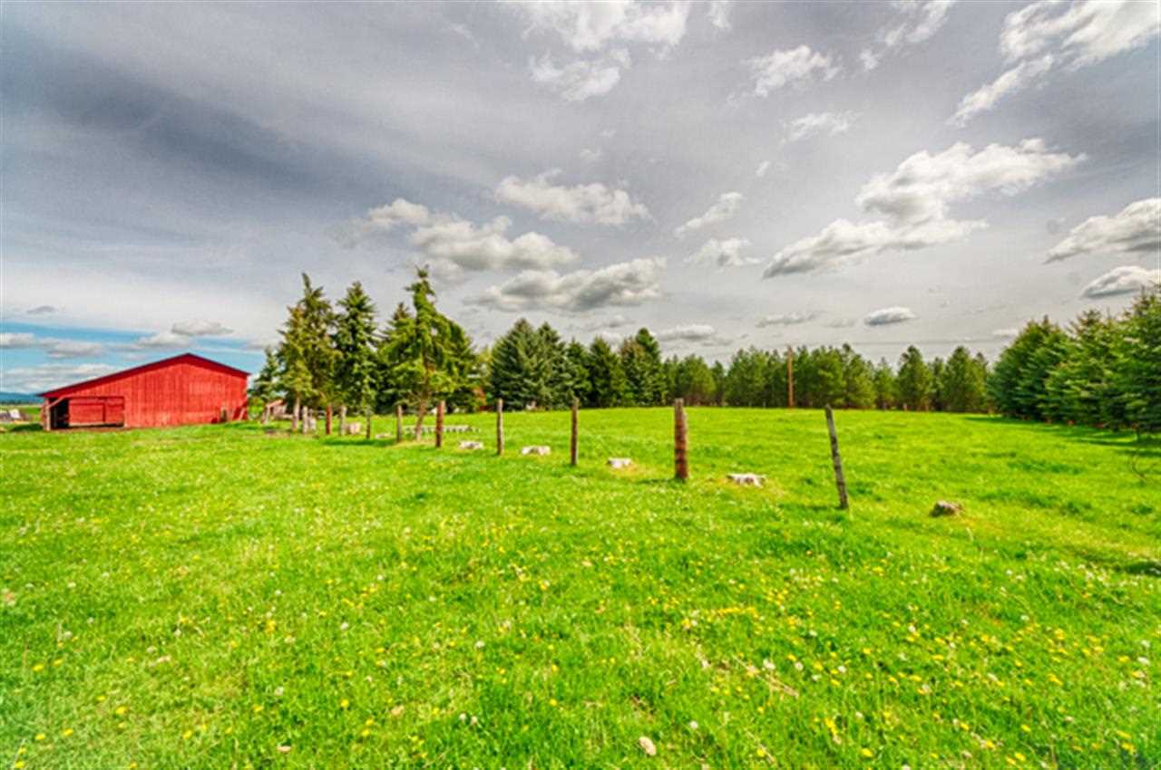 32603 N SPOTTED Rd - Photo 4
