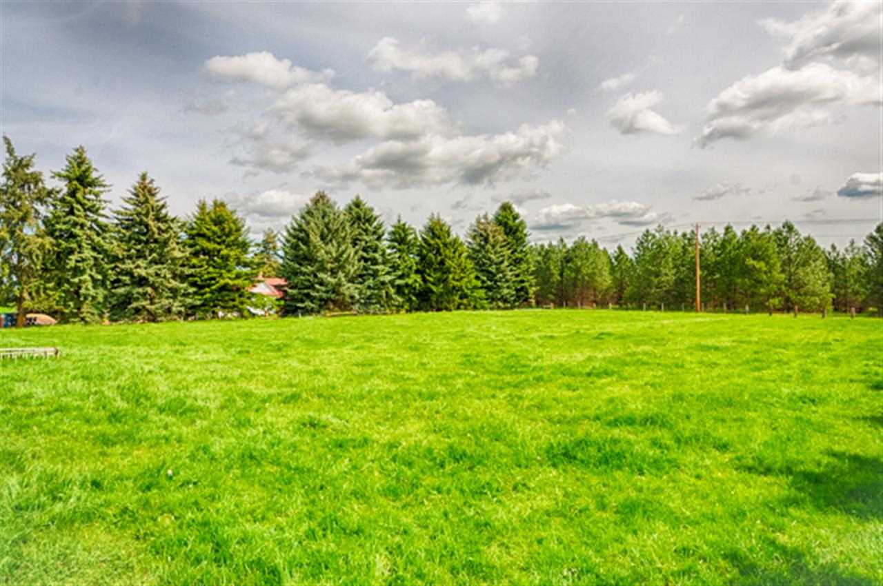 32603 N SPOTTED Rd - Photo 6