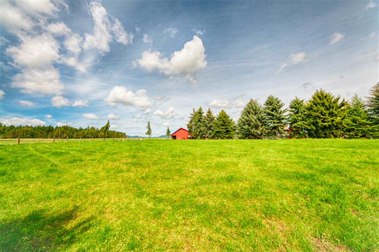 32603 N SPOTTED Rd - Photo 10