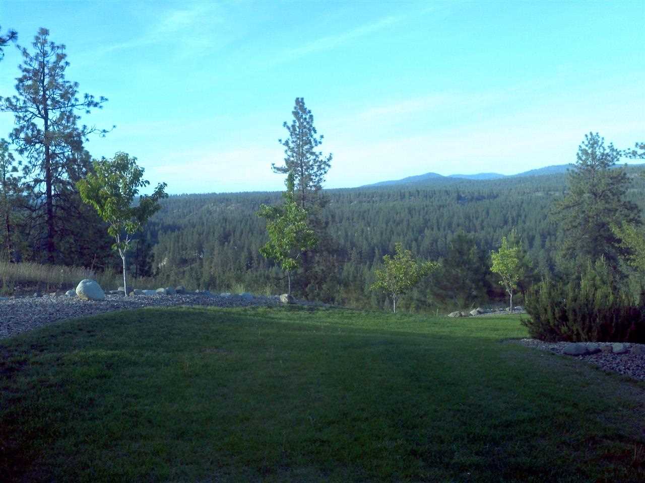 51691 Stone Ridge Trail East - Photo 7