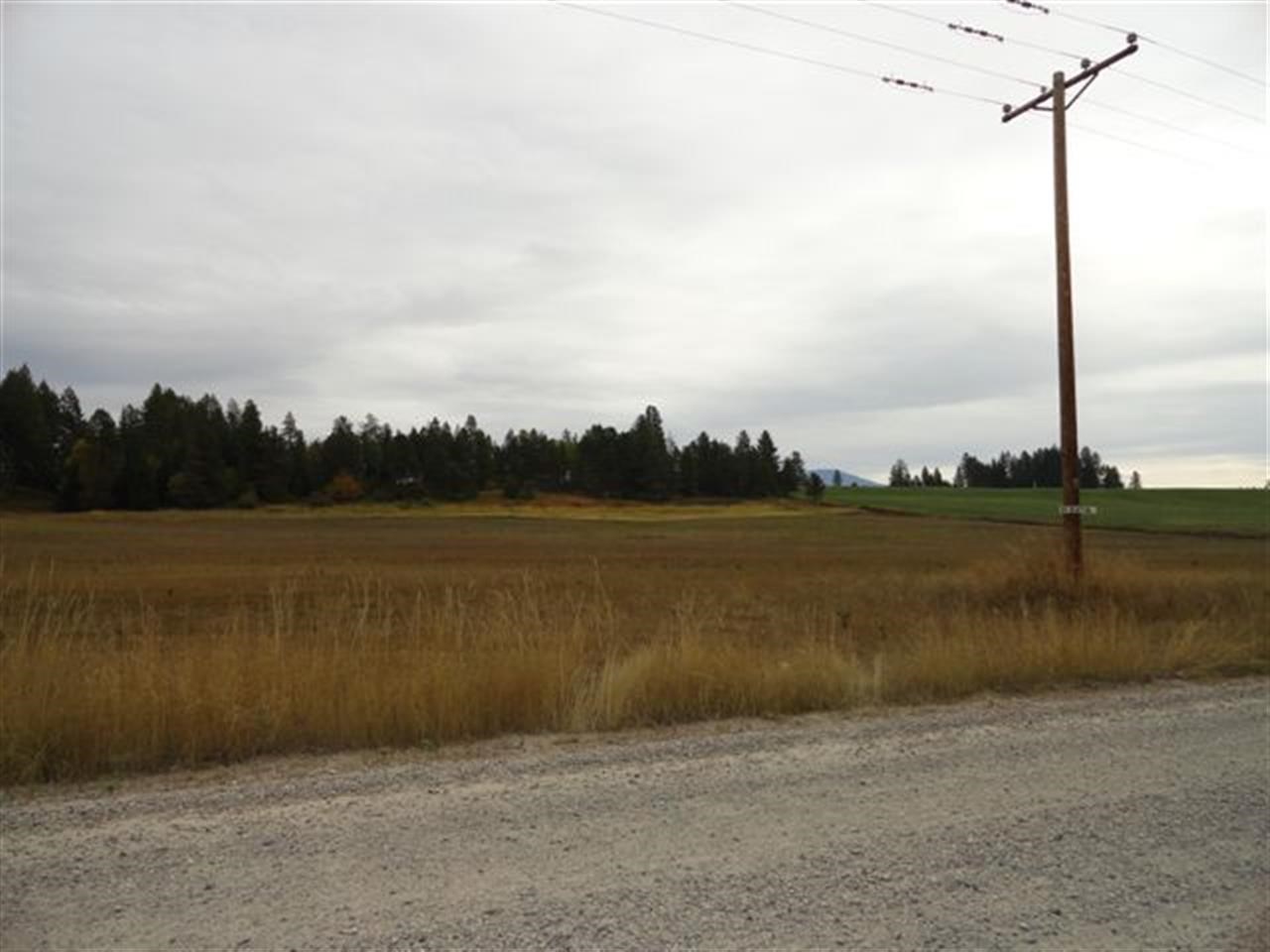 36606 N Dunn Rd - Photo 5