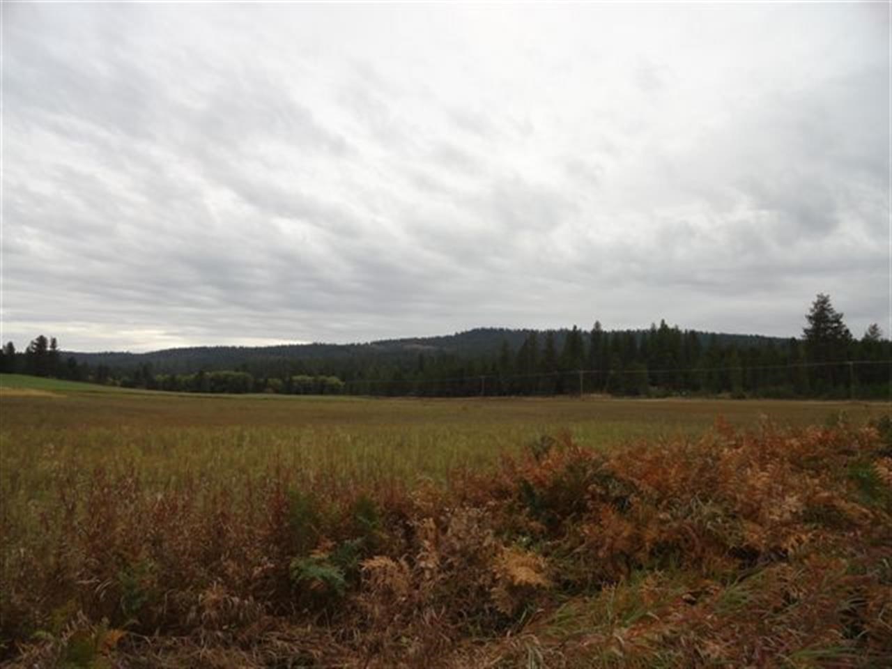 36606 N Dunn Rd - Photo 7