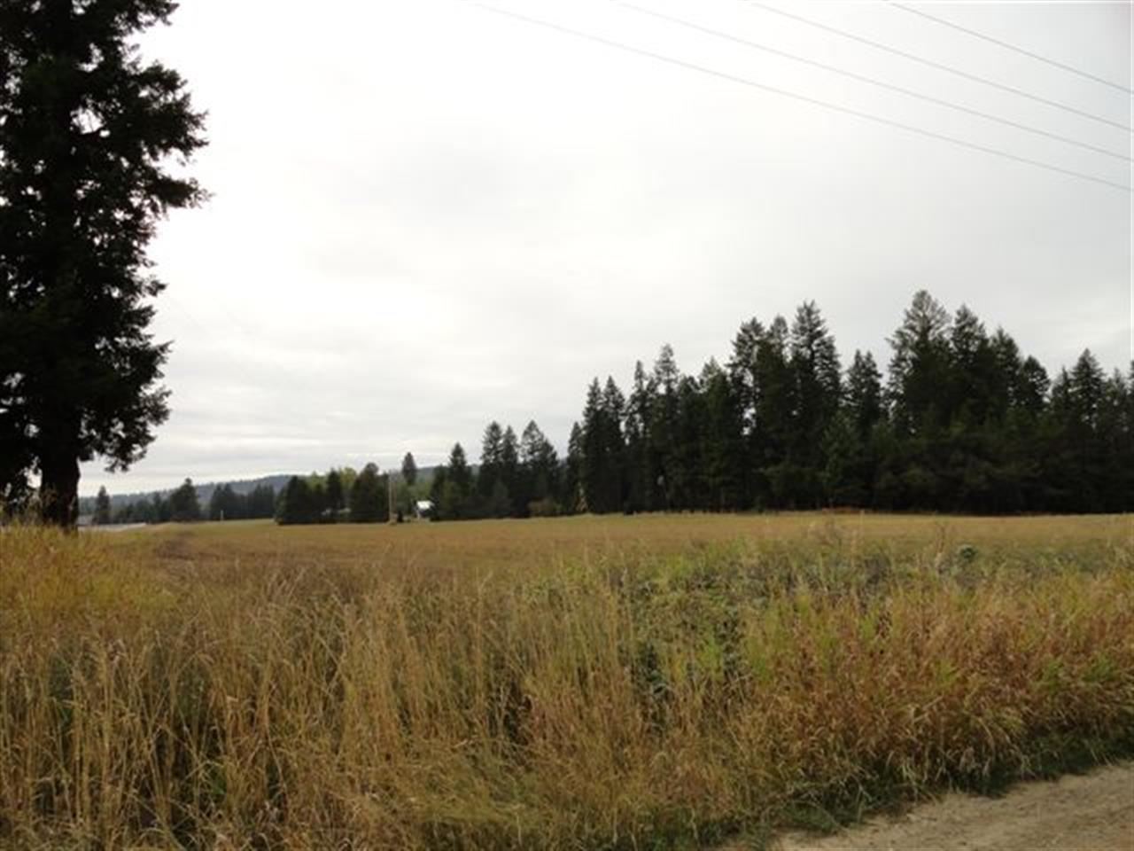 36606 N Dunn Rd - Photo 8