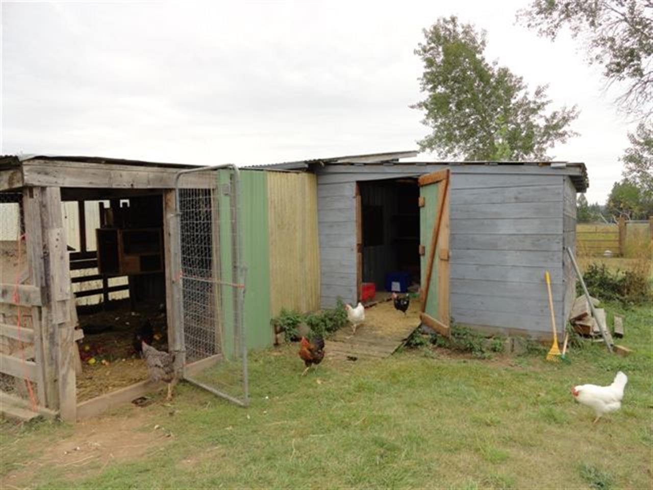 36606 N Dunn Rd - Photo 9