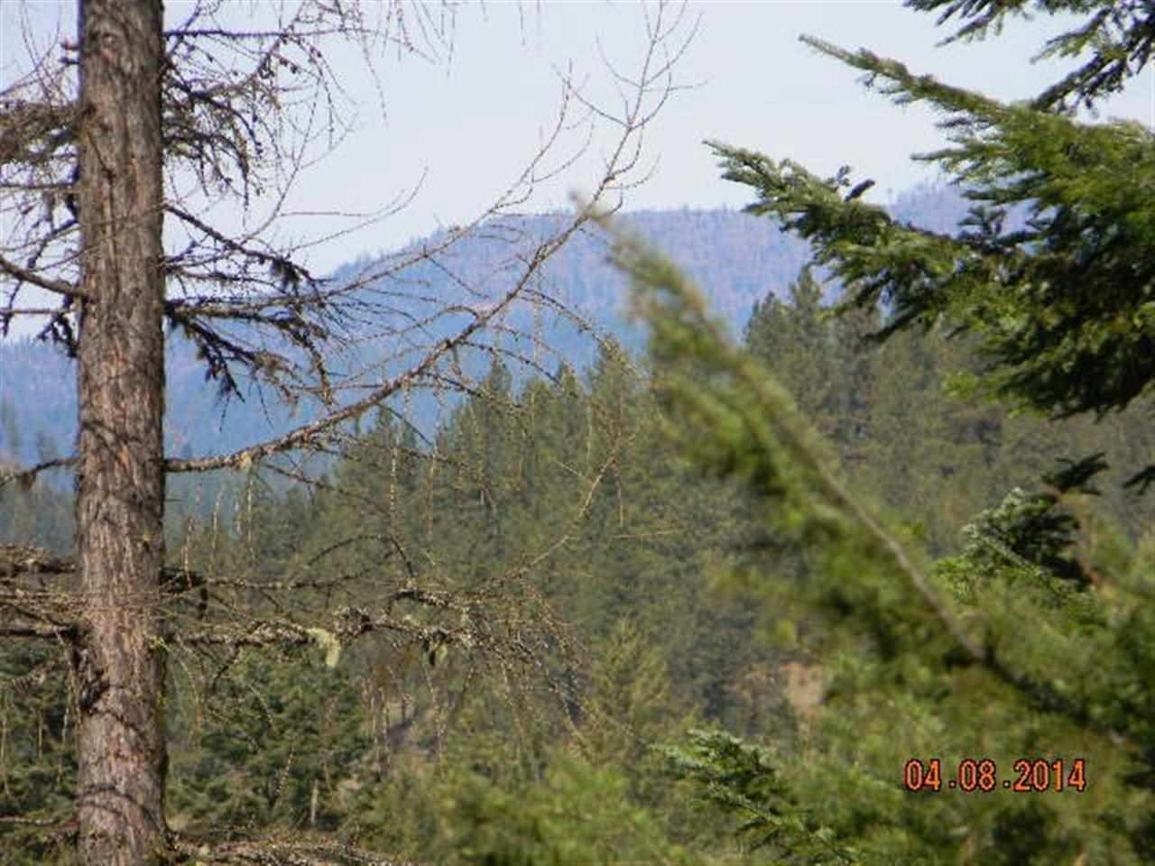 2191 Nicholson Road - Photo 16