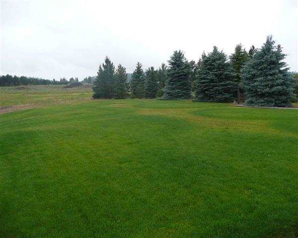 8220 S Craig Rd - Photo 4
