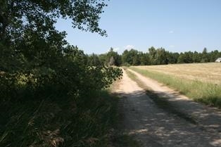 4714 W Bridges Rd - Photo 5