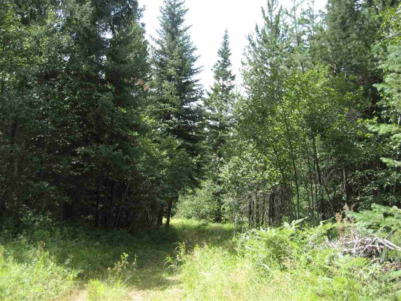 31016 N Elk-Chattaroy Rd - Photo 4