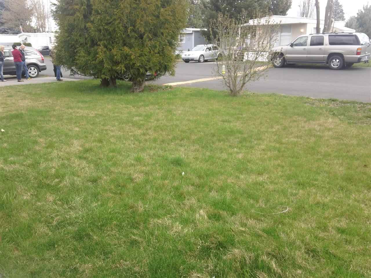 3925 E Farwell Rd - Photo 10