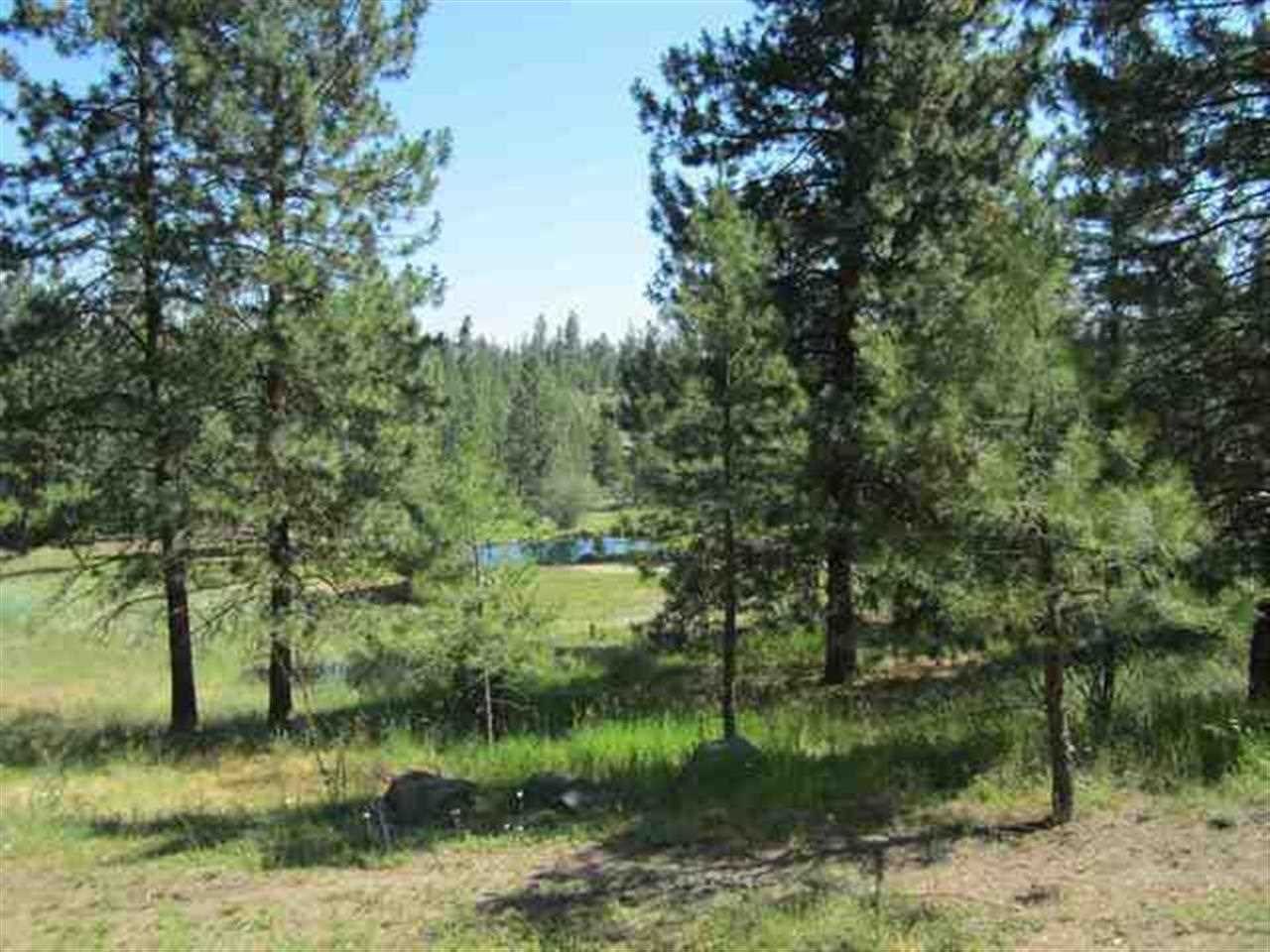 48702 E Chrisman Ln - Photo 6