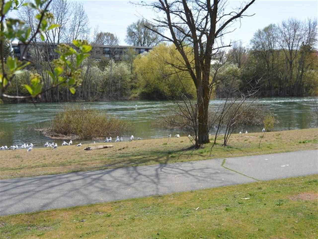 2121 E Upriver Dr - Photo 14