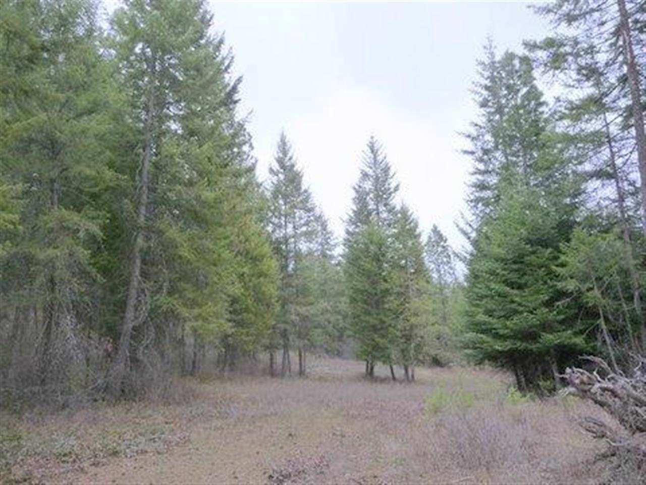 3362 Thompson (A) Rd - Photo 11