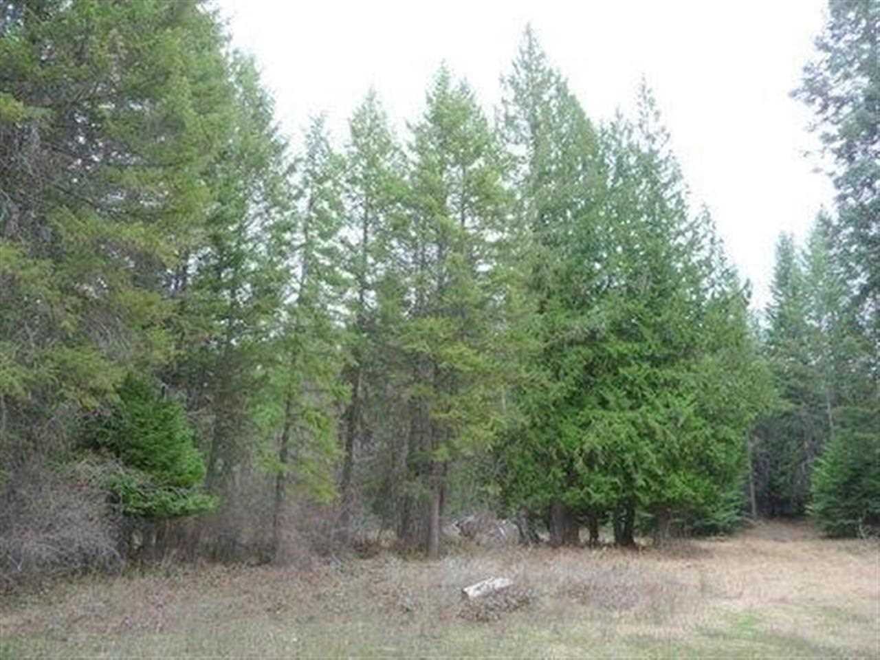 3362 Thompson (A) Rd - Photo 12