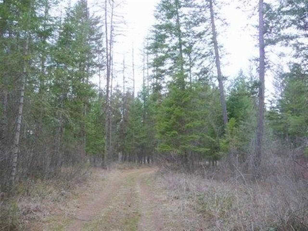 3362 Thompson (A) Rd - Photo 13
