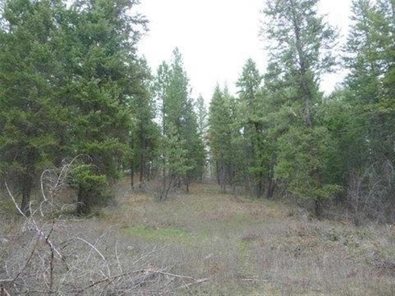 3362 Thompson (A) Rd - Photo 14