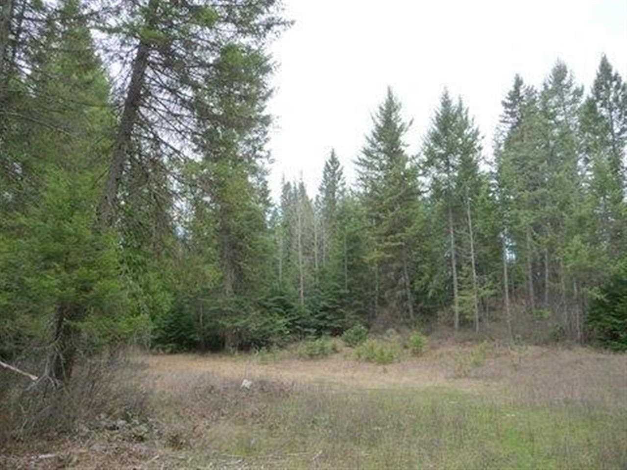 3362 Thompson (A) Rd - Photo 15