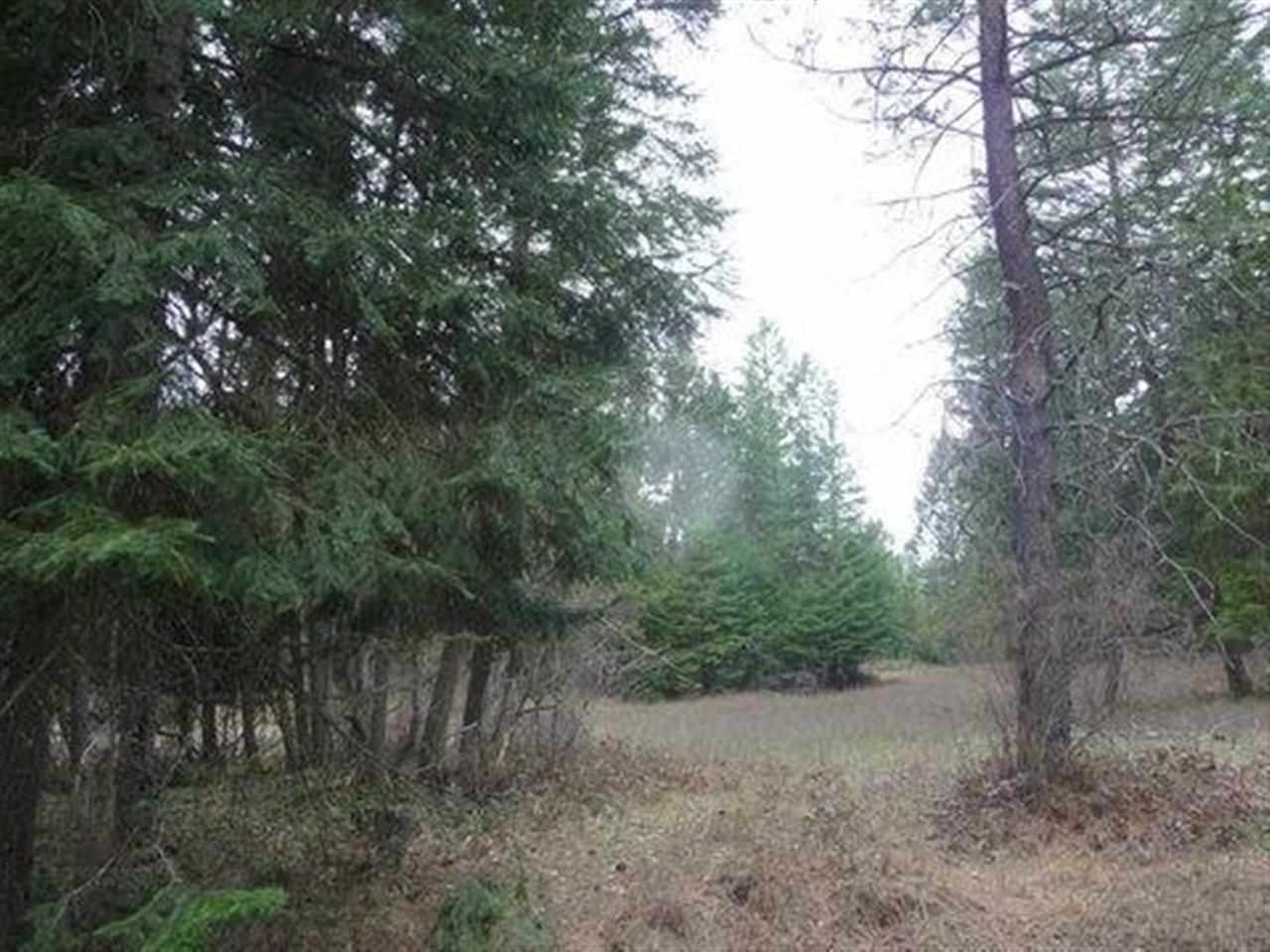 3362 Thompson (A) Rd - Photo 10