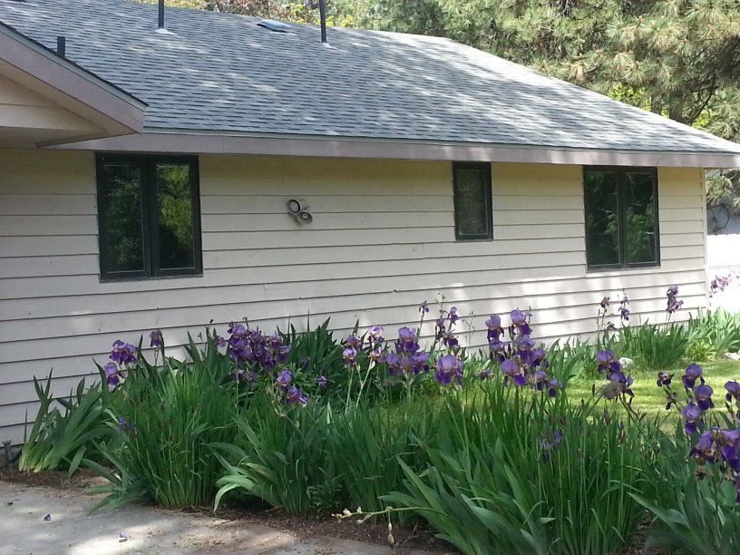204 E SILVER PINES - Photo 5