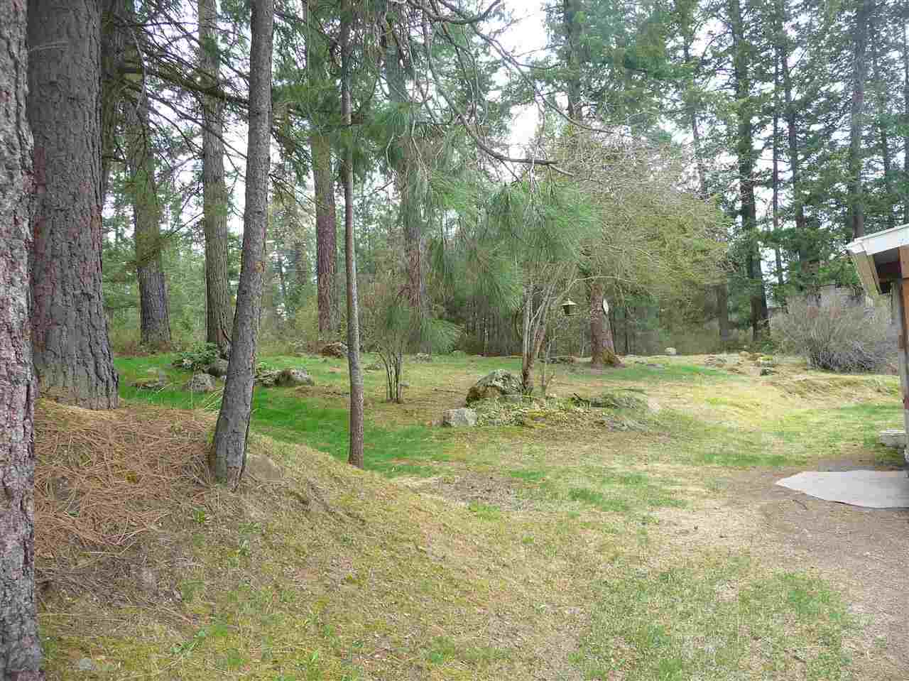 37116 N Findley Rd - Photo 5