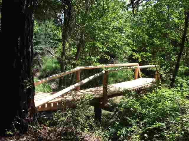 4465 Whittier Rd - Photo 6