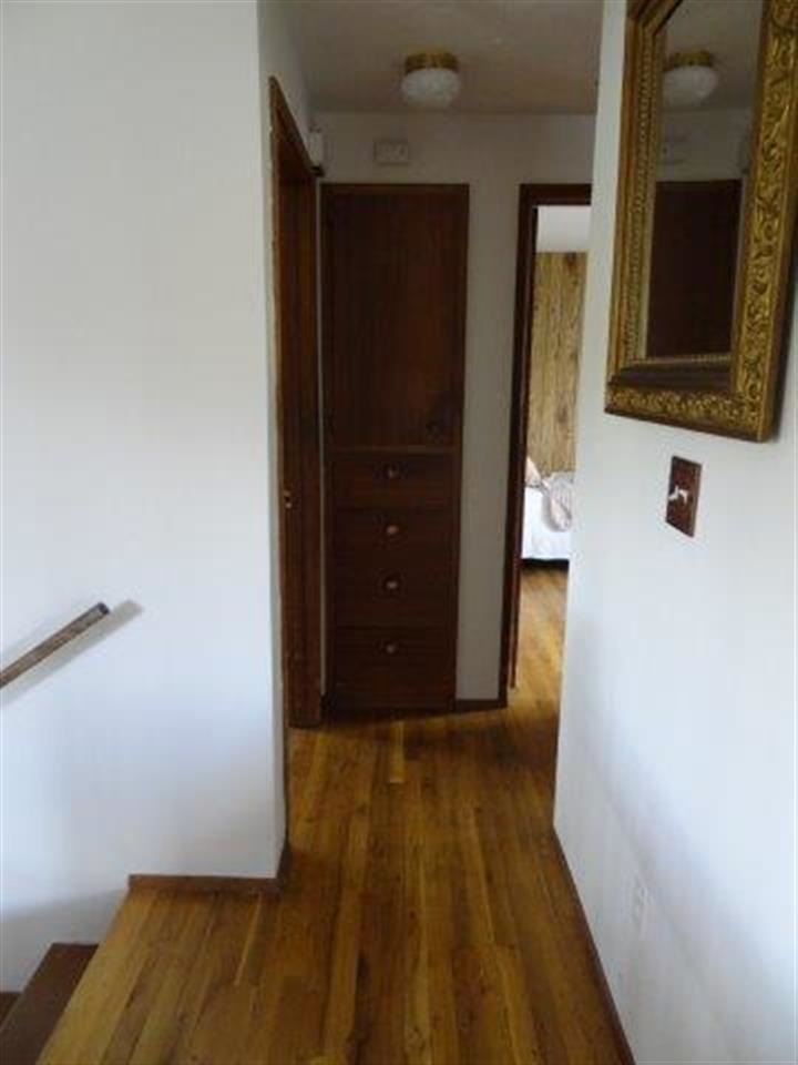 3123 W Dalton Ave - Photo 8