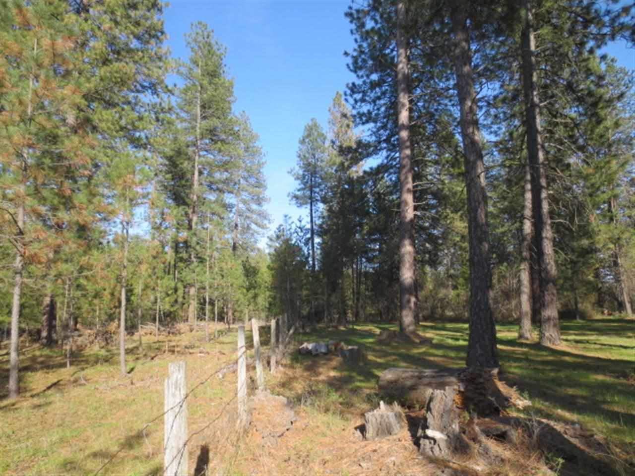 28604 N Bruce Rd - Photo 13