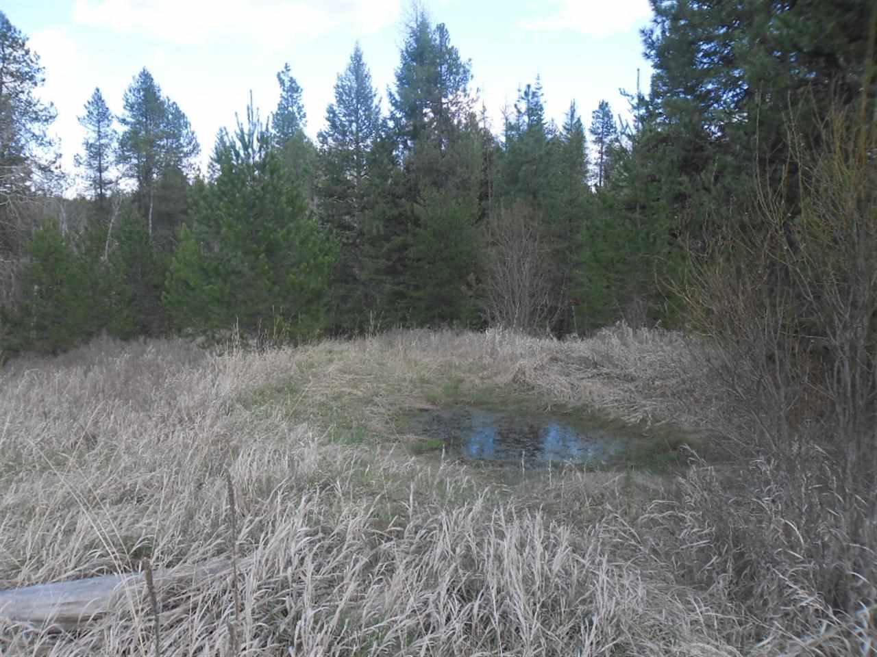 5198 GENNETT Rd - Photo 16