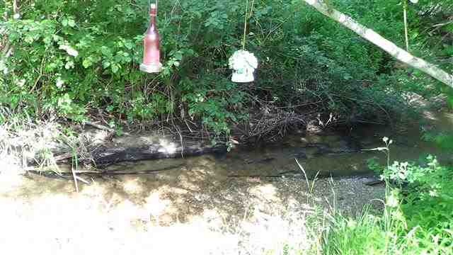 29812 N Elk-Chattaroy Rd - Photo 17