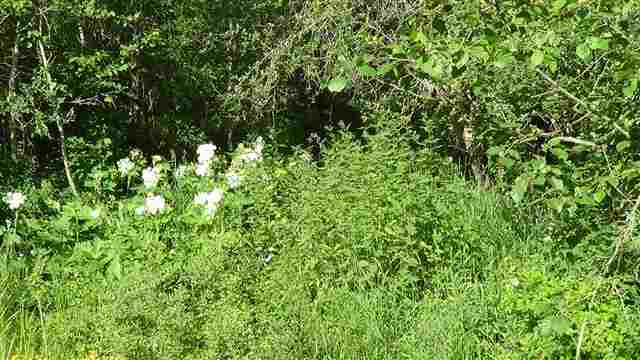 29812 N Elk-Chattaroy Rd - Photo 18