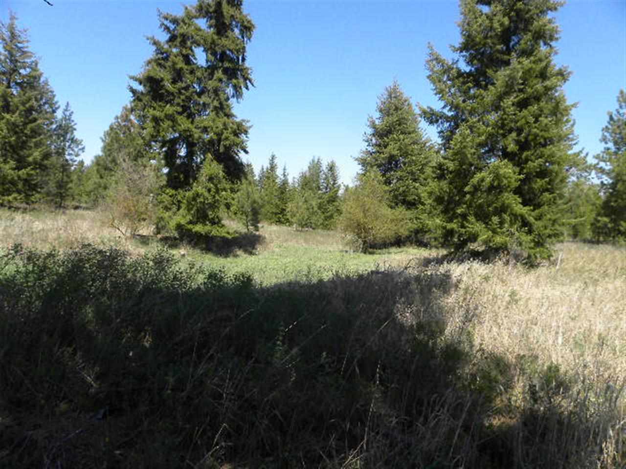 35011 N Elk-Chattaroy Rd - Photo 19