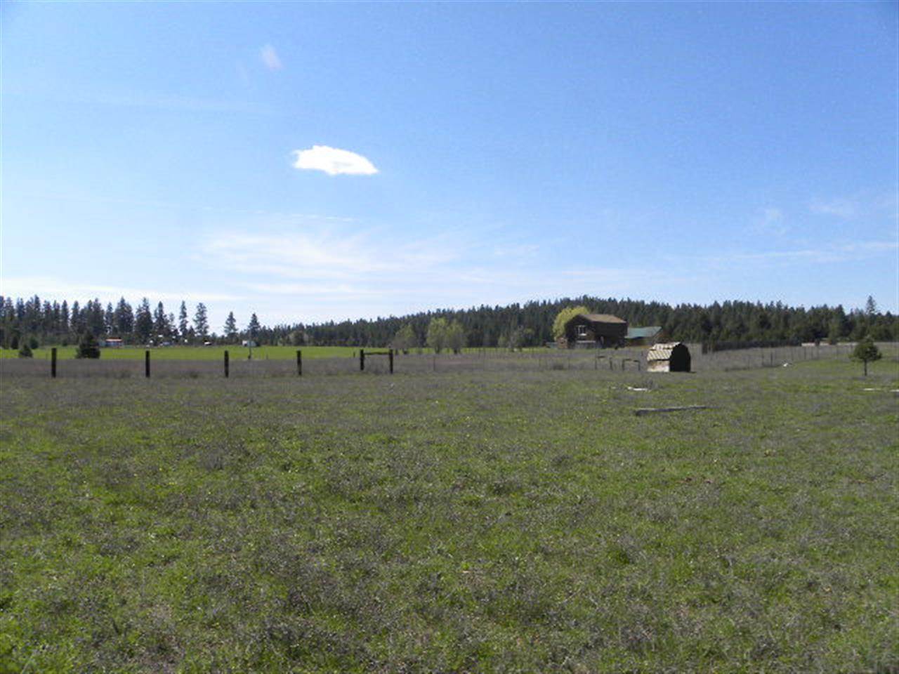 35011 N Elk-Chattaroy Rd - Photo 10