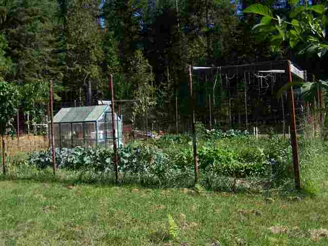 23693 WA-31 Hwy - Photo 8