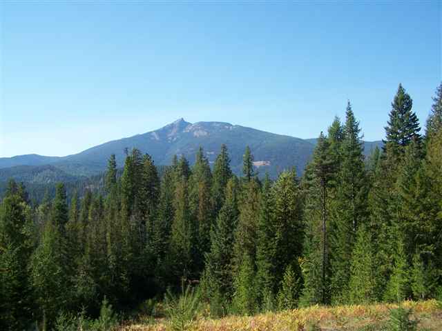 23693 WA-31 Hwy - Photo 9