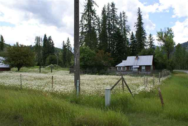 3292 Deep Lake Boundary Rd - Photo 13