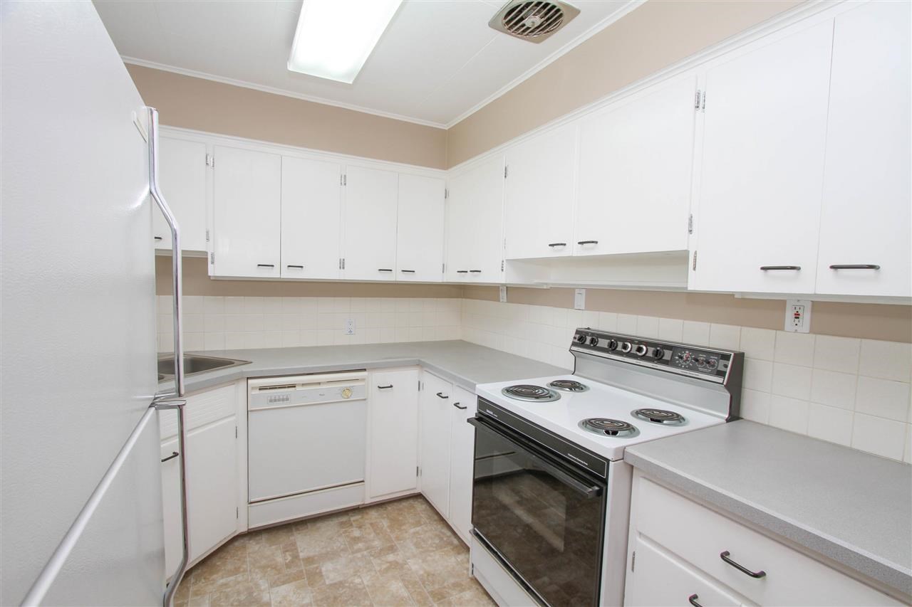 710 N Marguerite - Photo 10