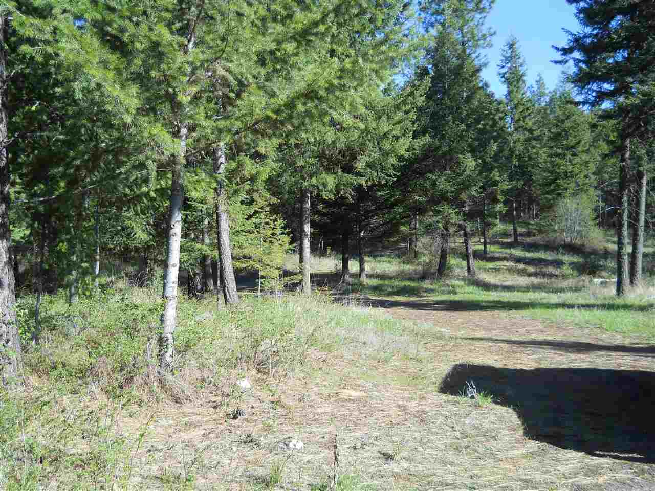 2206 SCOTT ROAD - Photo 14