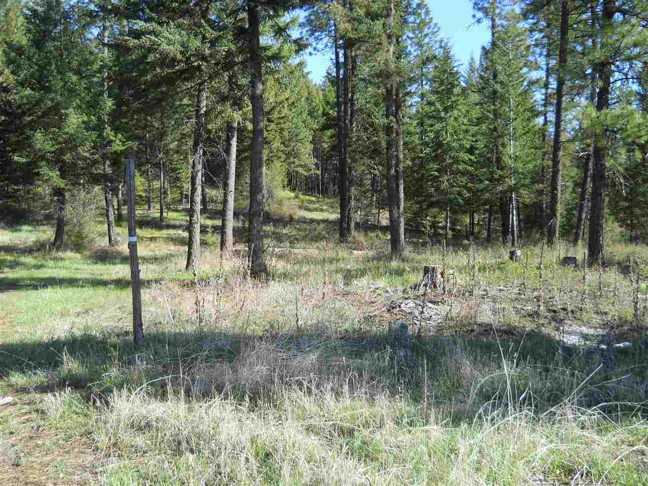 2206 SCOTT ROAD - Photo 15