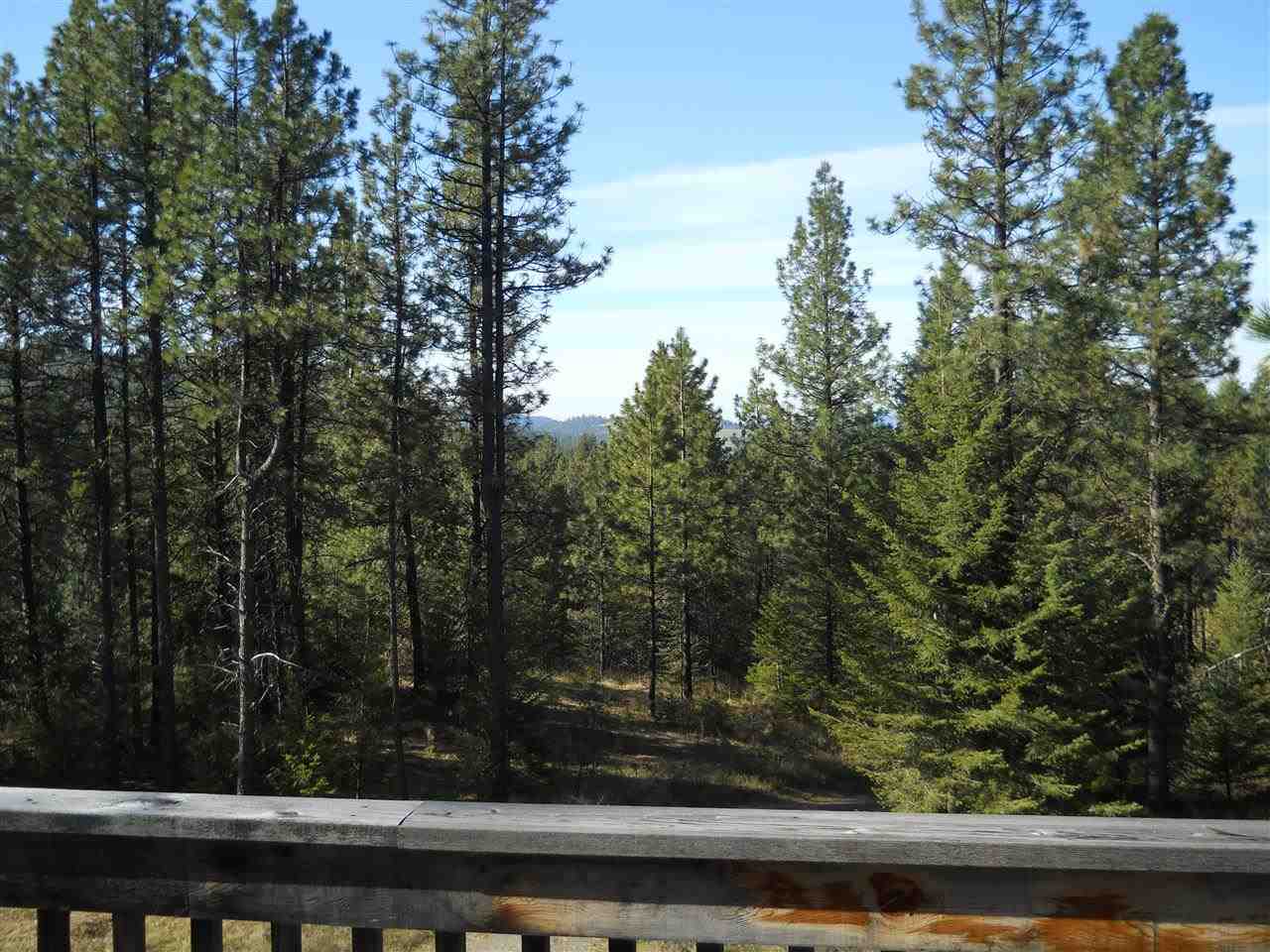 2206 SCOTT ROAD - Photo 4