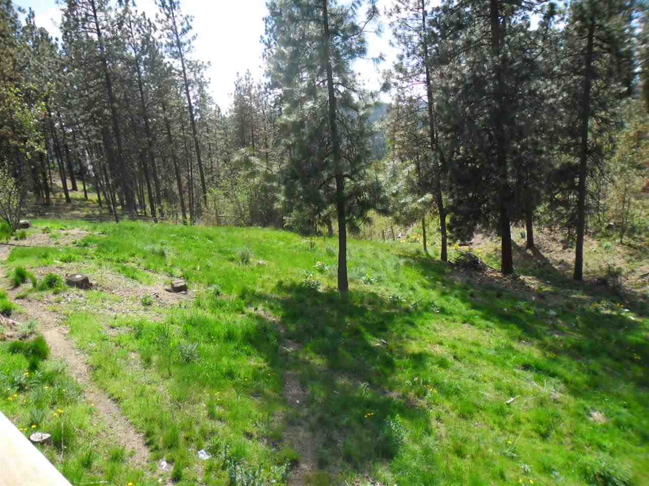 13403 W MEADOWVIEW Ln - Photo 19