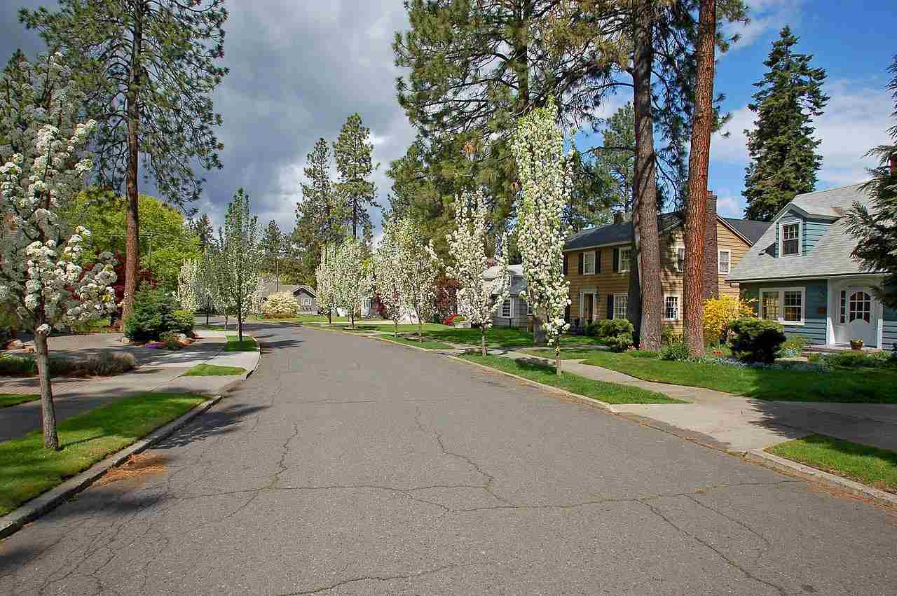 717 E 27th Ave - Photo 3
